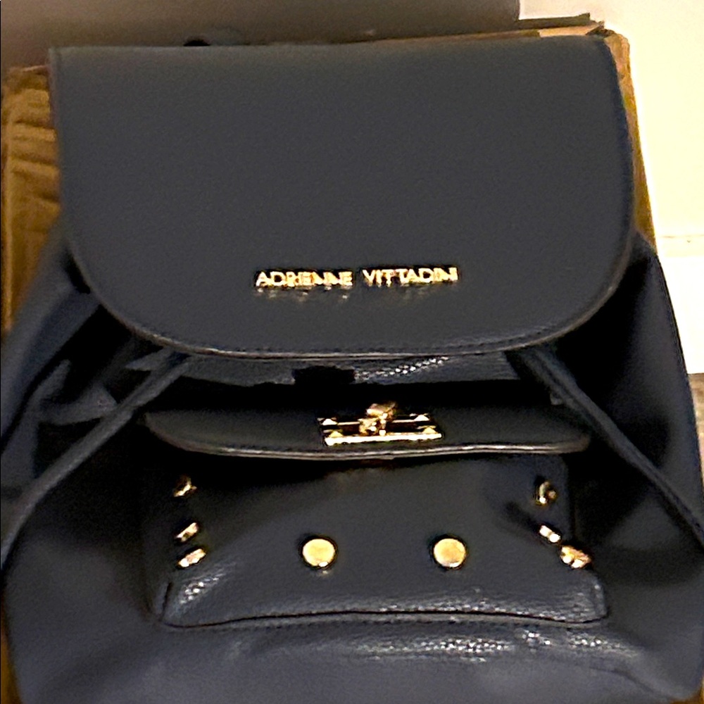 Adrienne Vittadini Navy Backpack with Gold Accents